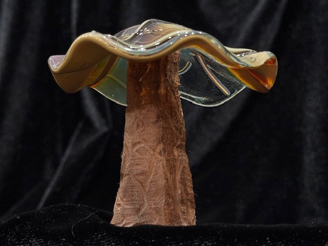 Short Mushroom 4