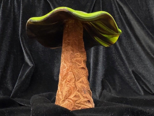 Medium Mushroom 1