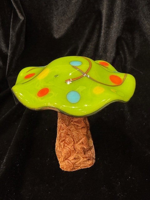 Medium Mushroom 1