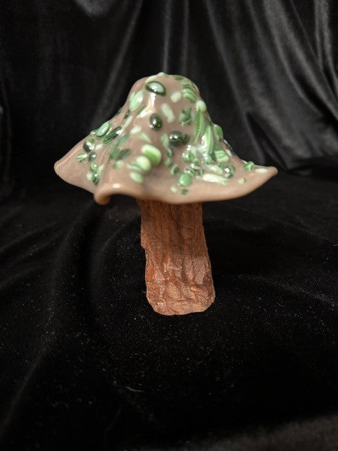 Medium Mushroom 5
