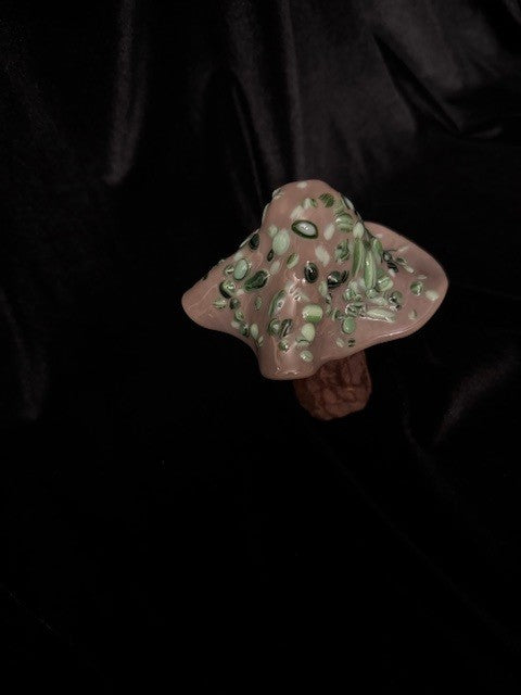 Medium Mushroom 5