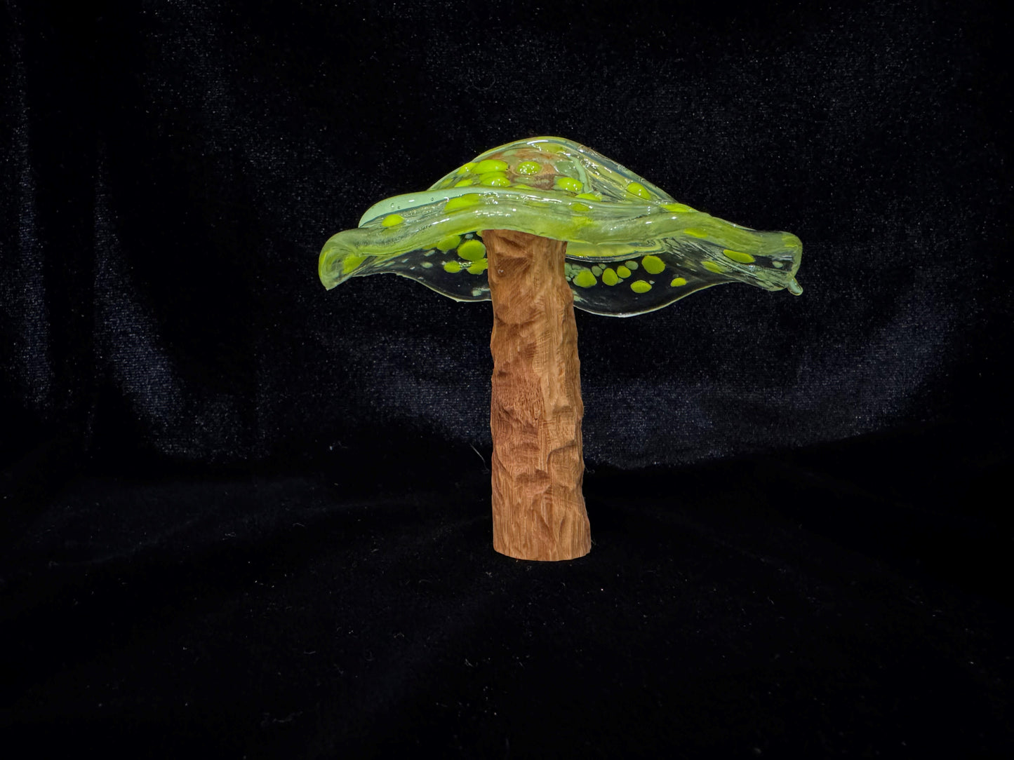 Medium Mushroom 2