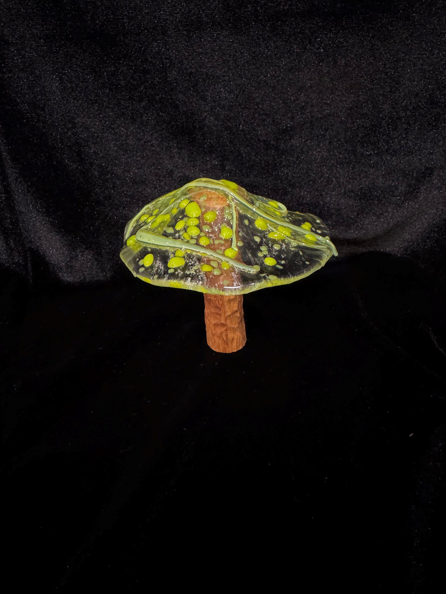 Medium Mushroom 2