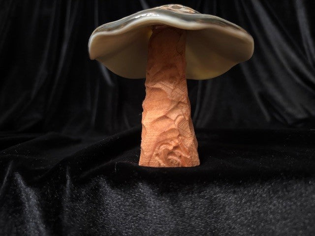 Medium Mushroom 3