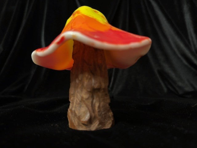 Medium Mushroom 6