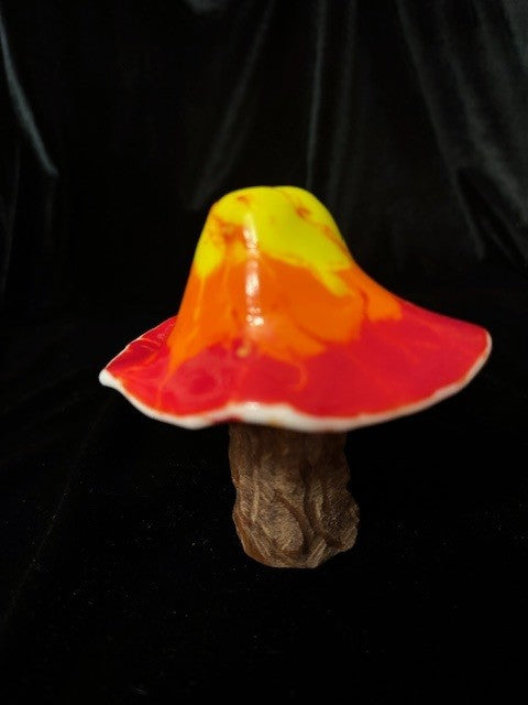 Medium Mushroom 6