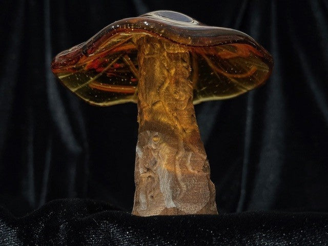 Medium Mushroom 7