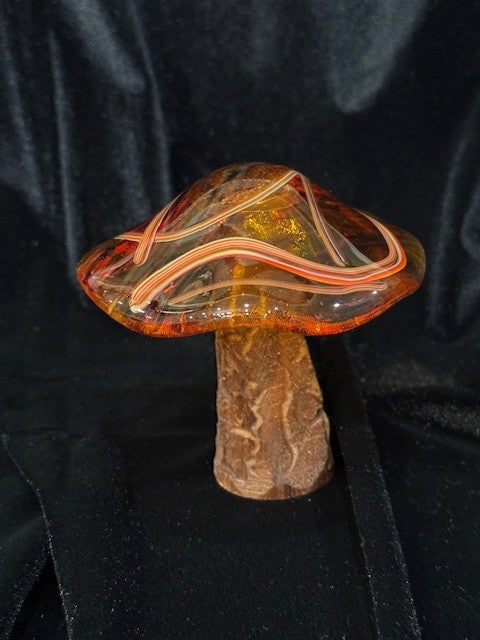 Medium Mushroom 7