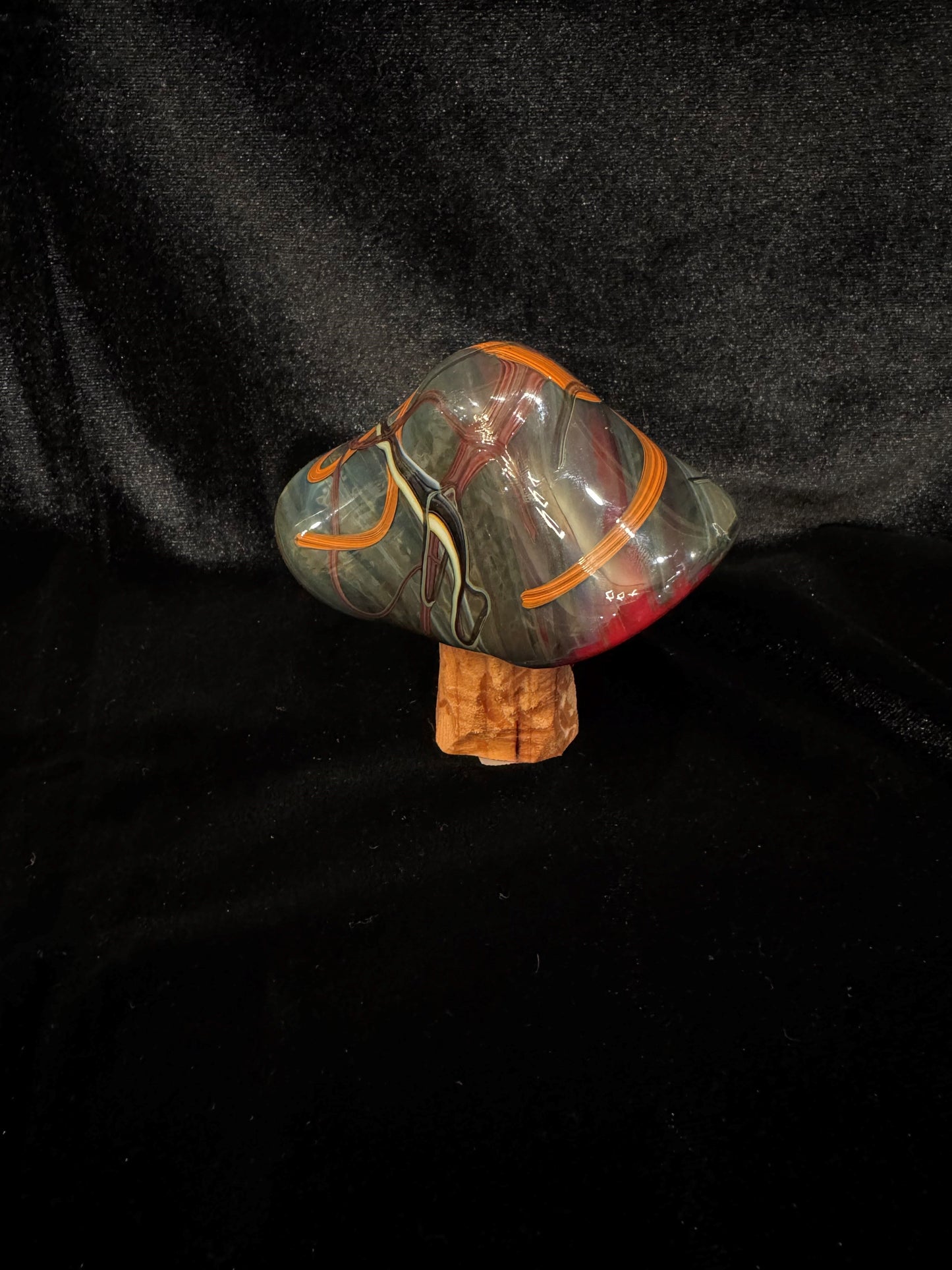 Medium Mushroom 4